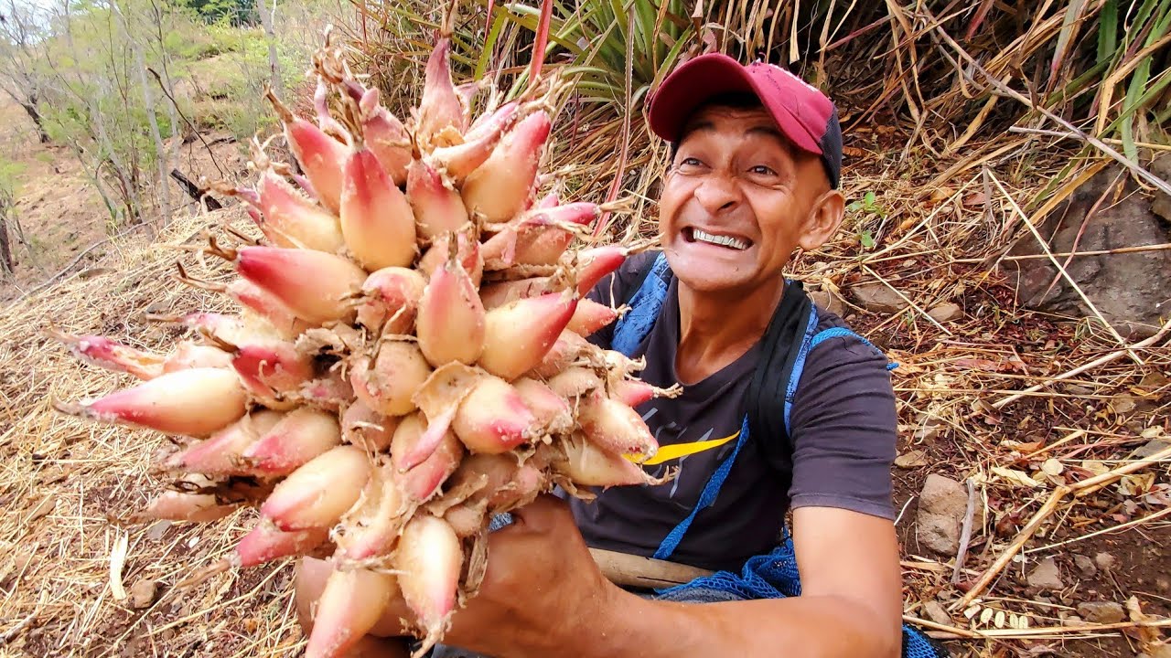 Esta es la fruta que levanta muerto