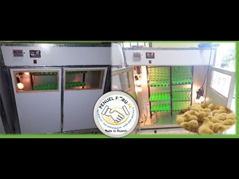 The best Incubators made in Rwanda  Imashini zikoranye ubuhanga budasanzwe