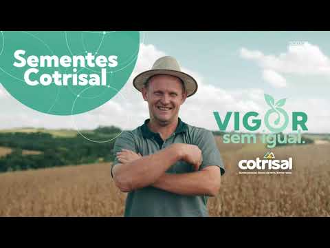 Sementes Cotrisal 