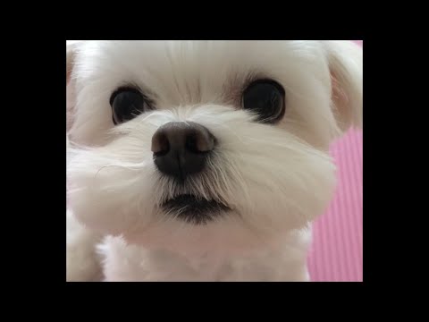 아이콘