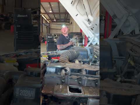 What is a VP44 Fuel Pump ??