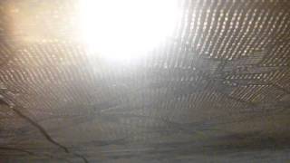 เพลง Love sick Camryn