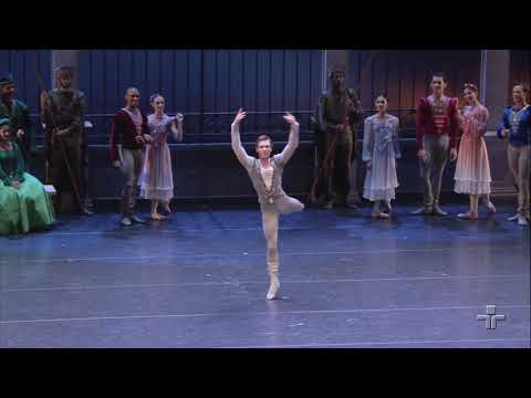 Clássicos | O Lago dos Cisnes