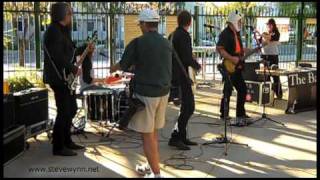 SteveWynn.net | The Baseball Project | The Panda and the Freak