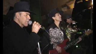 sangre grupera el venadito los felinos