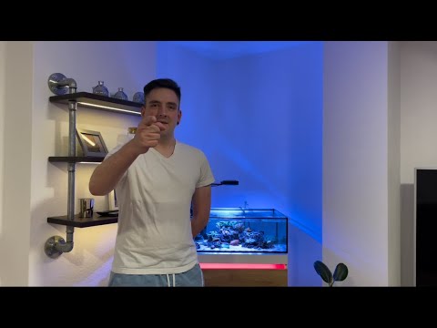 Neues Meerwasser - Projekt wird gestartet. Teil 2 | Technik für das Technikbecken | Riff