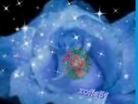 Z.SOSNICKA,,,Z,WODECKI,,,,,,życie jest natchnieniem,,,,