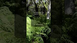Download lagu Motivasi hidup sukses #motivasi #storywa #quotes #sholawat mp3 Download lagu Motivasi hidup sukses #motivasi #storywa #quotes #sholawat mp3