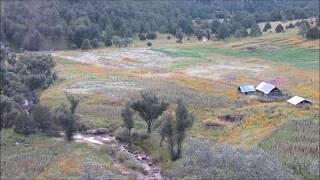 Pueblito-Los Cadetes de Linares