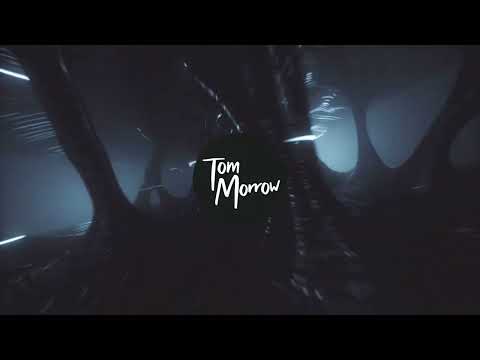 Tyfon feat. Sedutchion - Our Kingdom (Tom Morrow Remix)