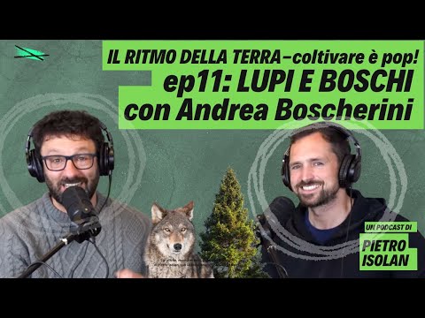 WOLVES AND WOODS with Andrea Boscherini - the rhythm of the earth - cultivating is pop ep 11