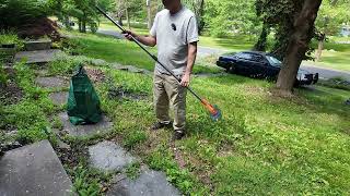 3-in-1 Dethatcher Rake Can it Save My Lawn