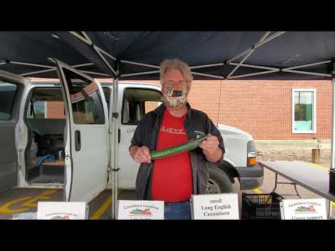 Grandora Gardens describes the best storage method for never refrigerated FRESH cucumbers 🥒