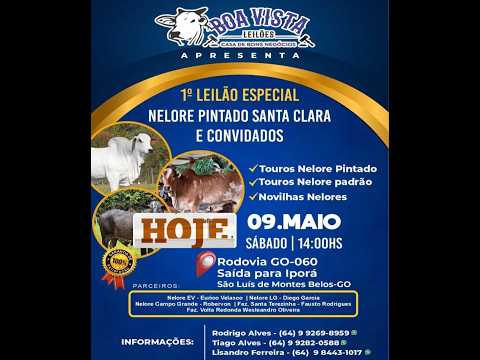 Boa Vista Leilões São Luis de Montes Belos 1º Leilão Especial - GO 09/05/2026