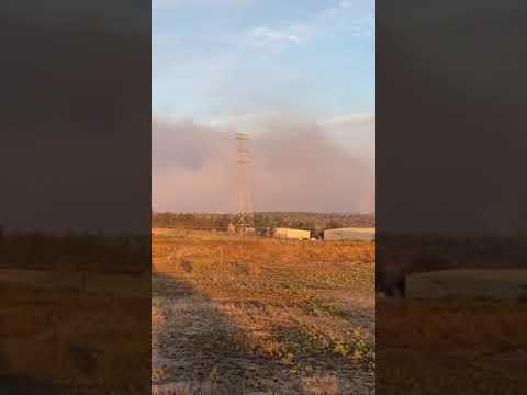 Incendio en el paraje Mesa del Nopal, en el municipio de Tala, en un Área Natural Protegida del #Bos