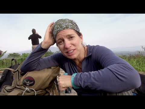 Walking with the Great Apes-The Journey Begins