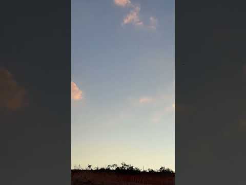 Soltando mucha de cerol! ❤️🪁 #pipa #shorts