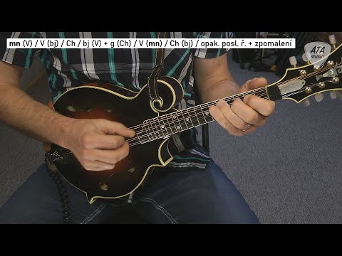 Měsíční muzikantská výzva – Tennessee Waltz