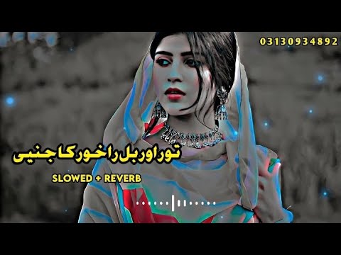 Slowed Charlie Puth, Ed Sheeran, Martin Garrix & Kygo, The Chainsmokers Style