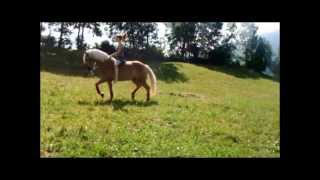 Video von Diabolo 284