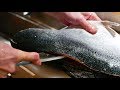 Japanese Food FISH CUTTING SKILLS Salmon Mackerel Squid Sushi Kyoto Seafood Japan