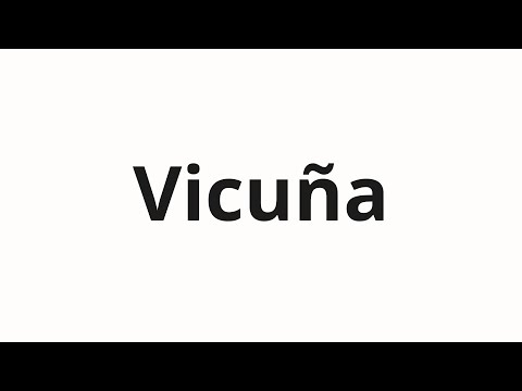 How to pronounce Vicuña