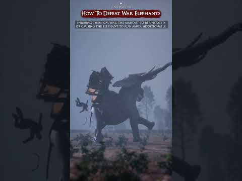 How To Defeat War Elephants #war #warelephant #military #tactical #warfare #fypシ #fyp #history