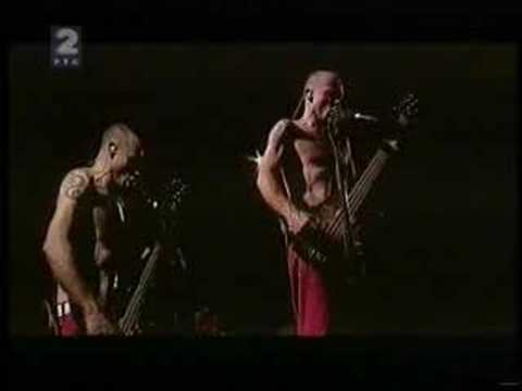 Red Hot Chili Peppers at Green Fest - Flea's Song