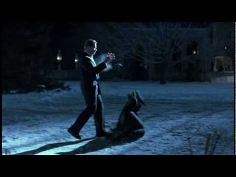 TRUE LIES  - STAY - DOUBLE DOG KNOCK OUT