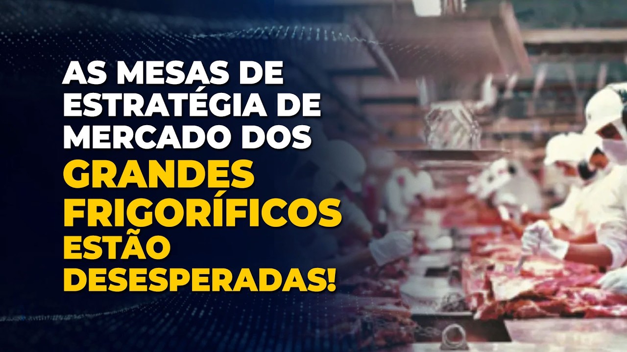 AS MESAS DE ESTRATÉGIA DE MERCADO DOS GRANDES FRIGORÍFICOS ESTÃO DESESPERADAS!