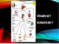 D VİTAMİNİ EKSİKLİĞİNDE SIK GÖRÜLEN HASTALIKLAR NELERDİR