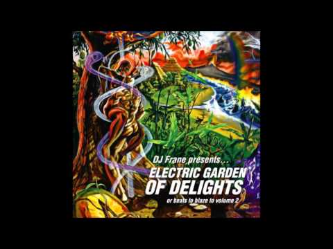 DJ Frane - In The Bag