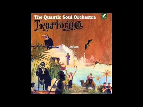The Quantic Soul Orchestra - Quantic Soul Orchestr