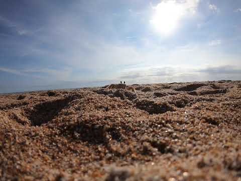 *crab rave intensifies*