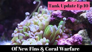 Of New Fins & Coral Warfare - 12 Months In