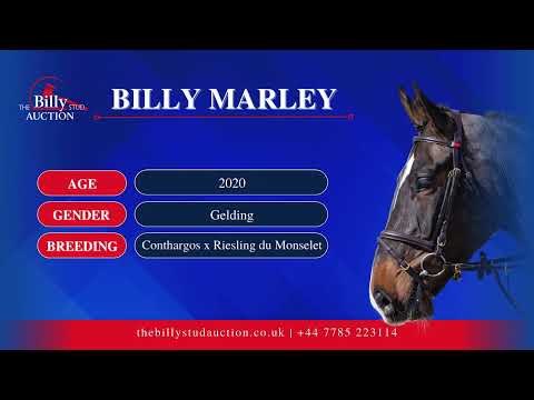Billy Marley