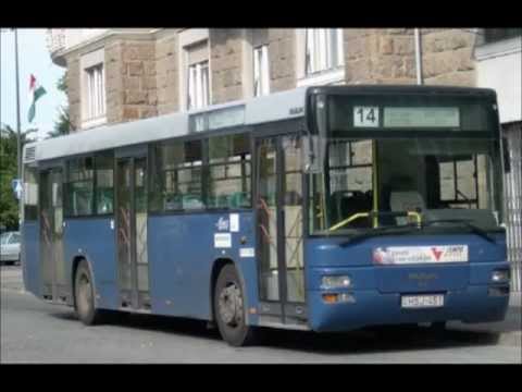 MAN SL 223 - VT-Transman