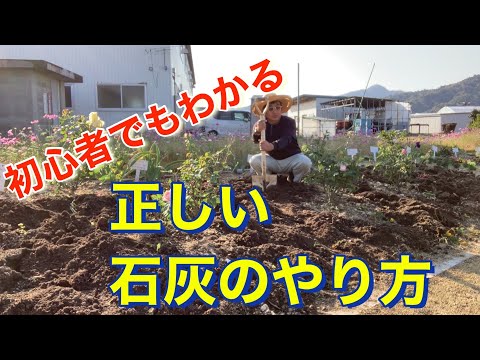 樹木栽培用石灰をいつ散布するか?その理由とその方法を見てみましょう！  庭園