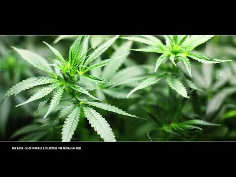 Pink Bomb - Indica (Orkidea & Solarstone Pure Progressive Mix) (HQ Audio)