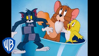 Tom &amp; Jerry | Here Comes The Birds! | Classic Cartoon Compilation | WB Kids