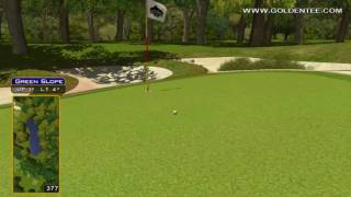 preview picture of video 'Golden Tee Great Shot on Sunny Wood!'