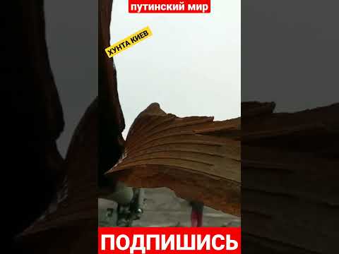 ⛔Ствол российской гаубицы Д-20 разорвало «розочкой» из-за износа. 152-мм пушка-гаубица Д-20