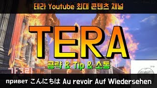 [테라TERA Streaming] 일요일 밤 방송