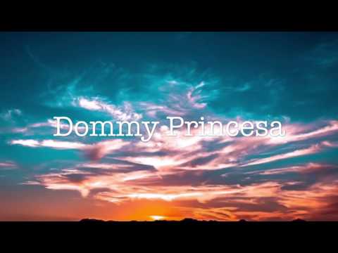 Sonora gc vol 19 Dommy Princesa