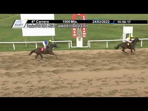 SINT FLORIDA 220224 c04 - 1° CHAPUZON