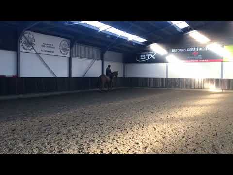 Bandito: BALOUBET DU ROUET x ANDIAMO