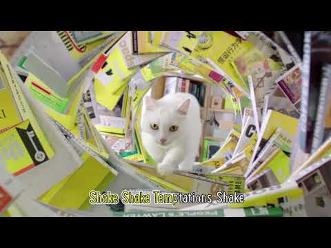 All It Takes Is A Shake | Temptations Cat Treats