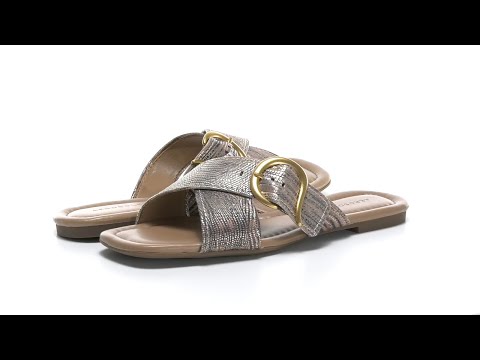 Aerossóis Everlee SKU: 9623342