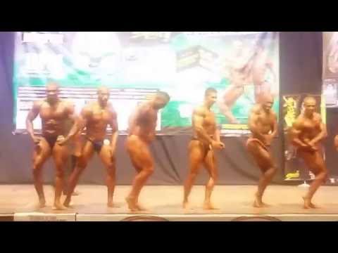 libaniel rebolledo absoluto valle 2016