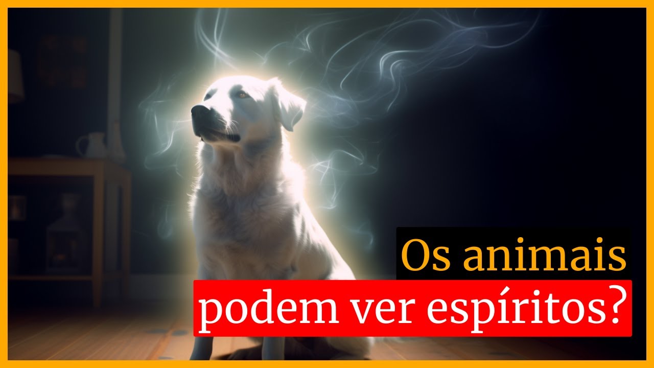 Os animais podem ver espíritos? | Espiritualidade dos Animais